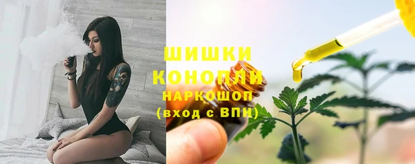 кристаллы Инта