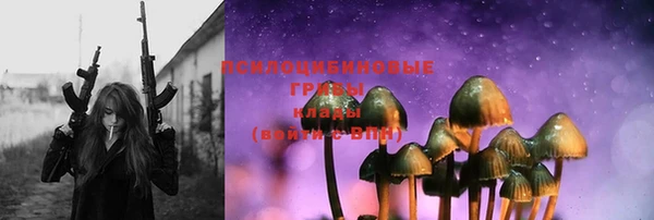 кристаллы Инта
