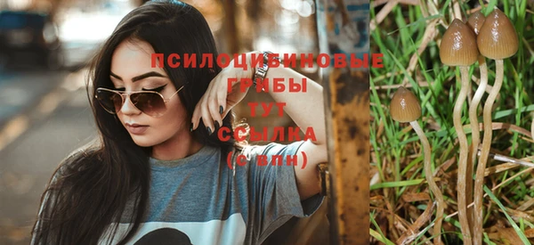 молекула духа Ступино