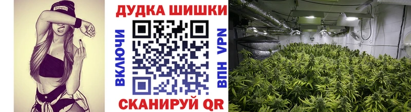 Бошки марихуана гибрид  Купить где  Полтавская 